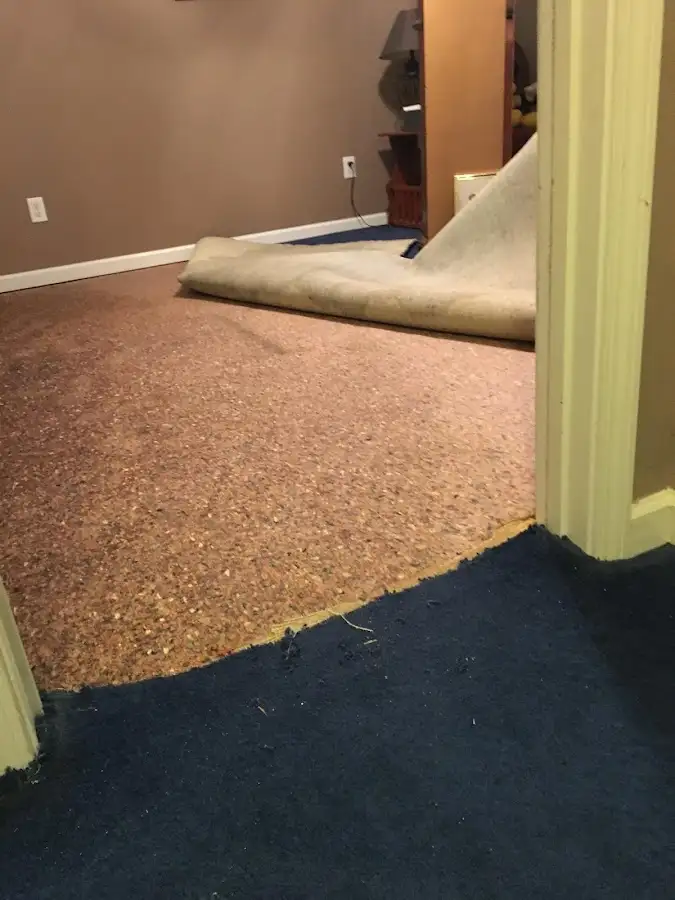 Carpet pad removal revealing water damage during Drying & Dehumidification in Edinboro