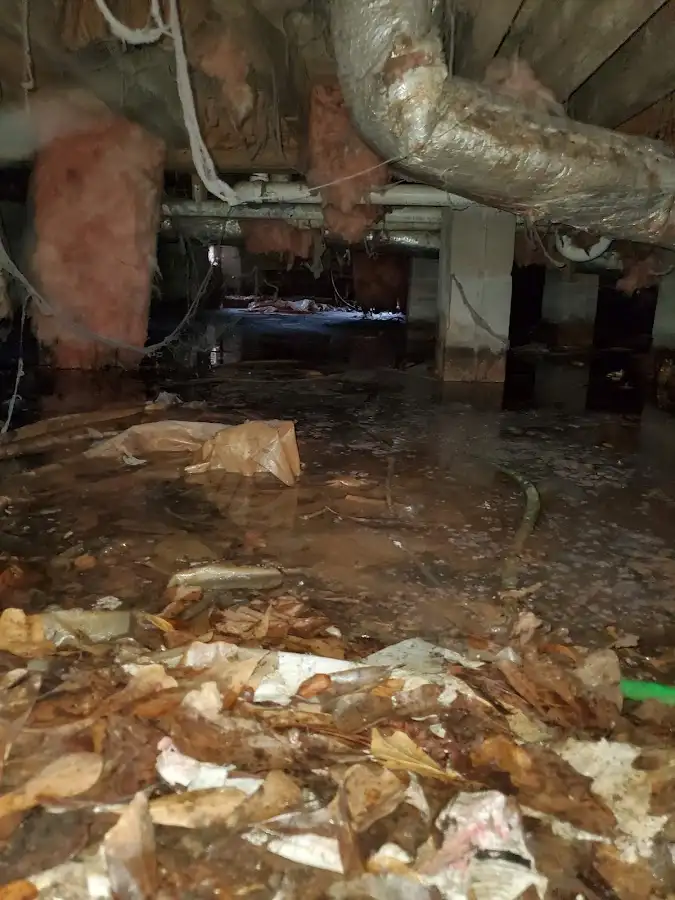 Crawl space flood assessment for Leak Detection & Repair in Edinboro