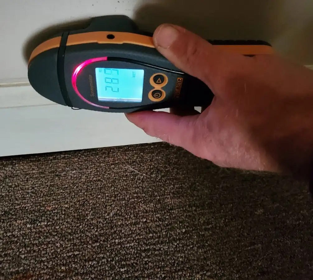 Moisture detection at baseboard during Sewage Cleanup & Sanitation in Edinboro